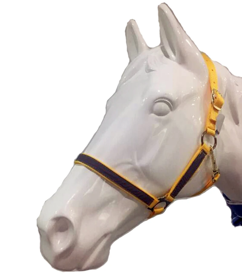 New Arrival Horse Riding Equipment Horse Halter Metal Eyelet Horse