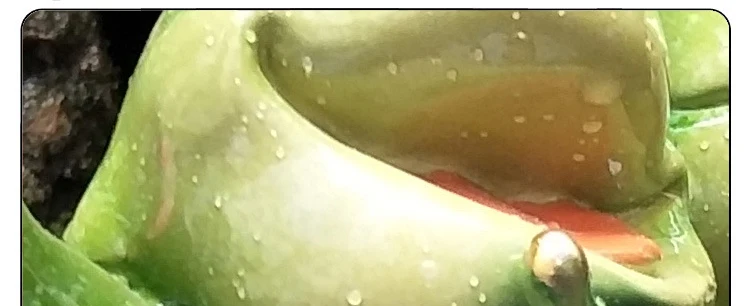 20190711_121446_003