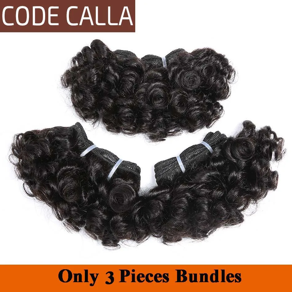 Código Calla precoloreado sin procesar pelo humano virgen malasio doble dibujado paquetes tejido rizado 6 piezas puede hacer una peluca Código Calla precoloreado sin procesar pelo humano virgen malasio doble dibujado paquetes tejido rizado 6 piezas puede hacer una peluca