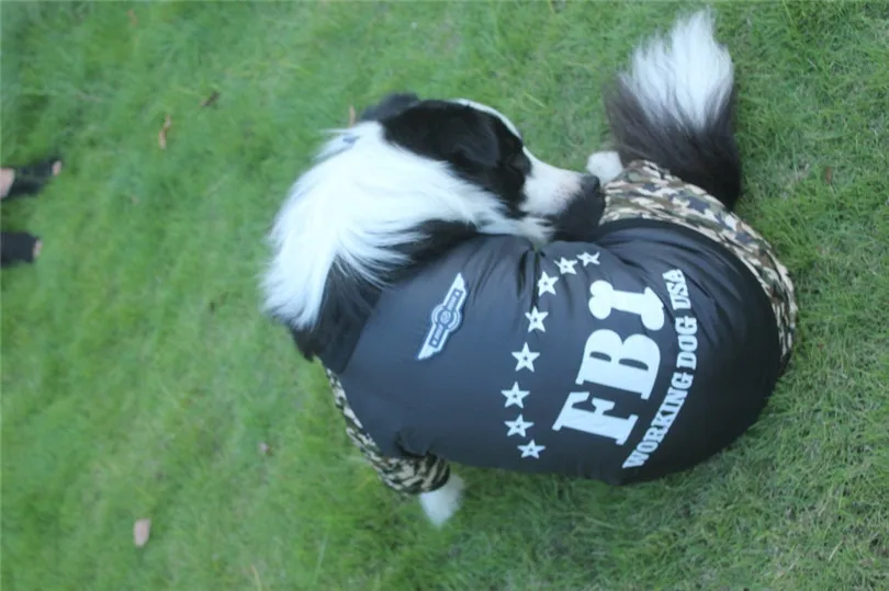 jacket dog winter (10)