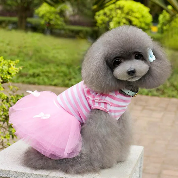 

Dogs Gauze Dress Puppy Small Dog Tutu Dress Lace Bow Clothes S-XL