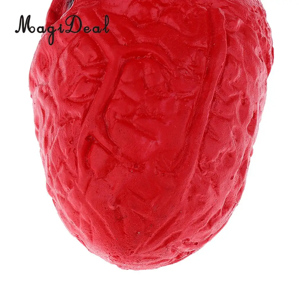 Lifelike Human Heart Model-Chop Shop Body Part Organ Halloween Horror Prop Decorations School Lab Supplies Student Toy 16cm