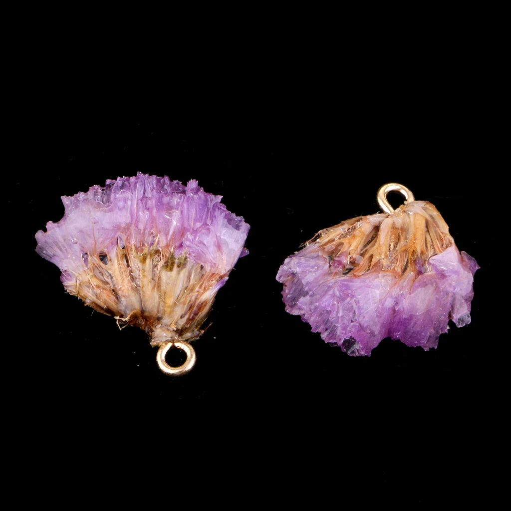 

2pcs Natural Real Dried Flower Charms Pendants Jewelry Making Earring Craft