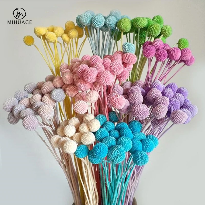 

MiHuaGe Dried Flower Golden Ball Living Room Home Bedroom Decoration Natural Everlasting Flowers Holiday Gift Party Supplies