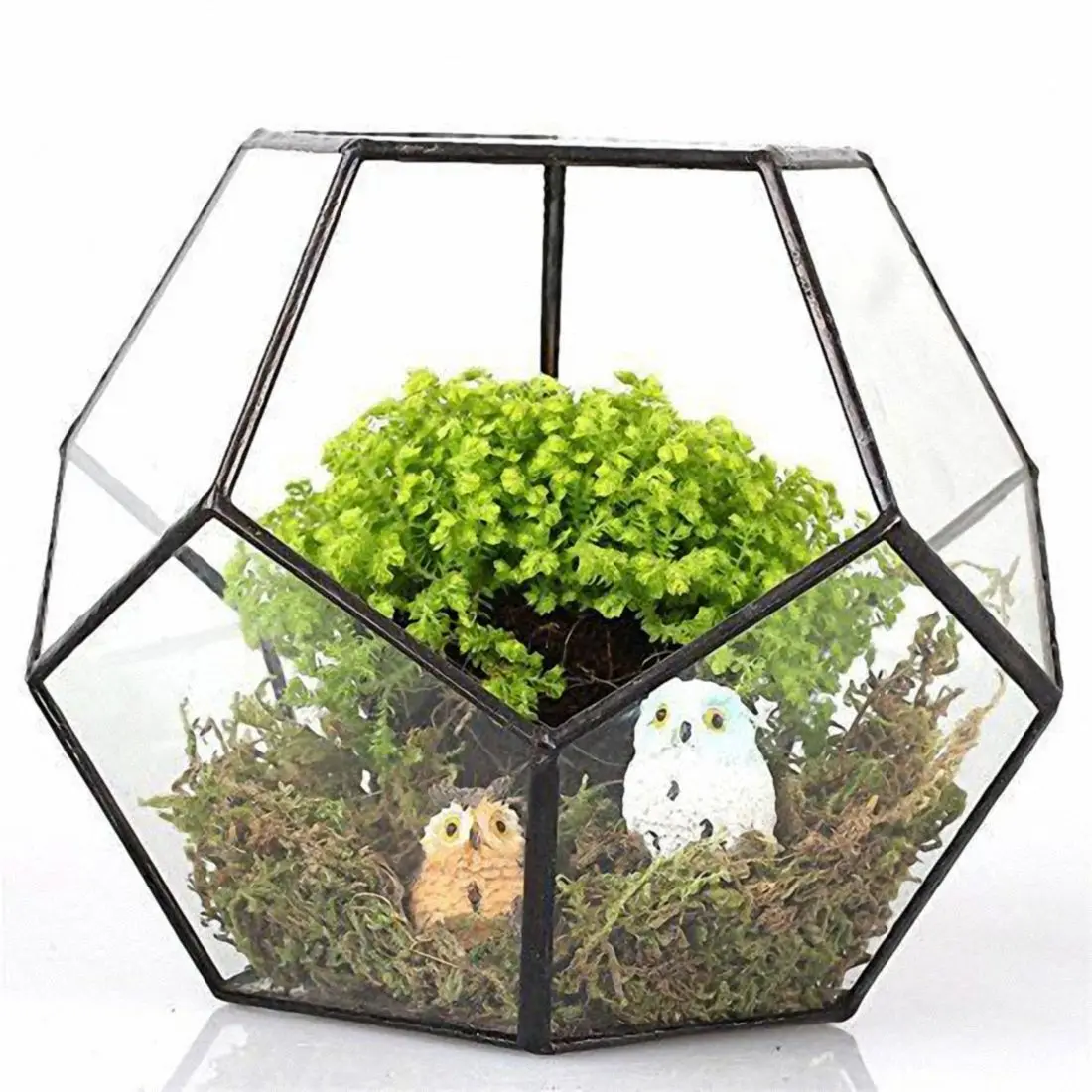 Beste Zwart Glas Pentagon Geometrische Terrarium Container Vensterbank Decor Bloempot Balkon Planter Diy Display Box (Geen Plant)