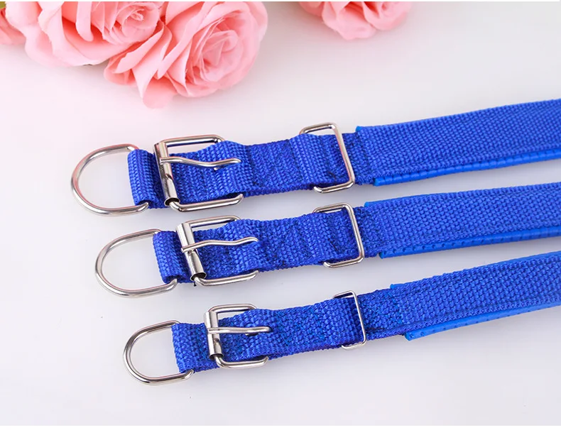 Pet nylon Collar Adjustable Outdoor Sports Safety PORON Collar For Dogs Cats Chihuahua Teddy Golden Retriever S M L XL XXL (10)