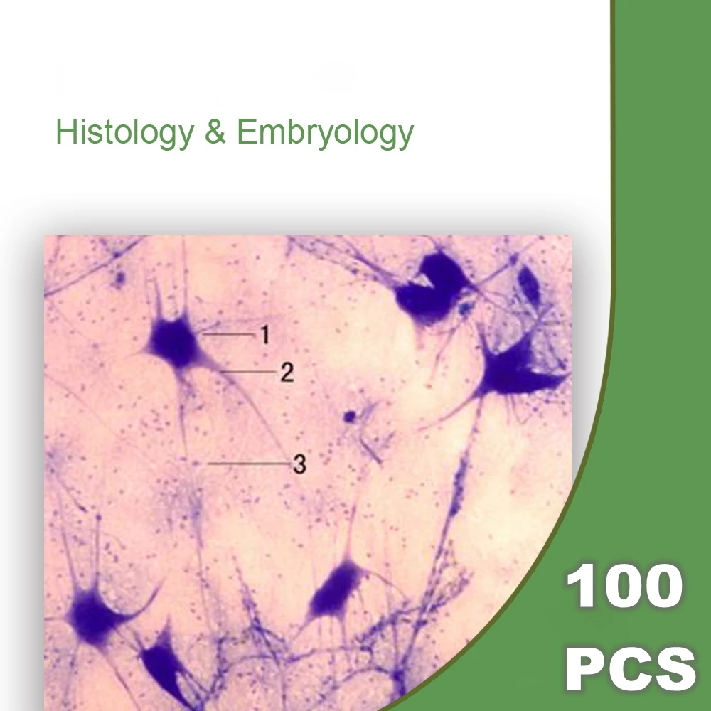 100 шт подготовленная Гистология эмбриолога человека образец раздел микроскопа слайды для биологии исследования