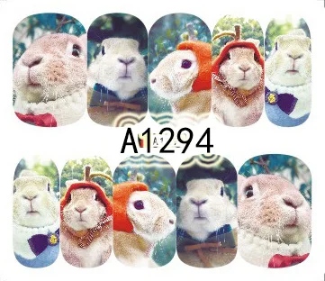 A1294
