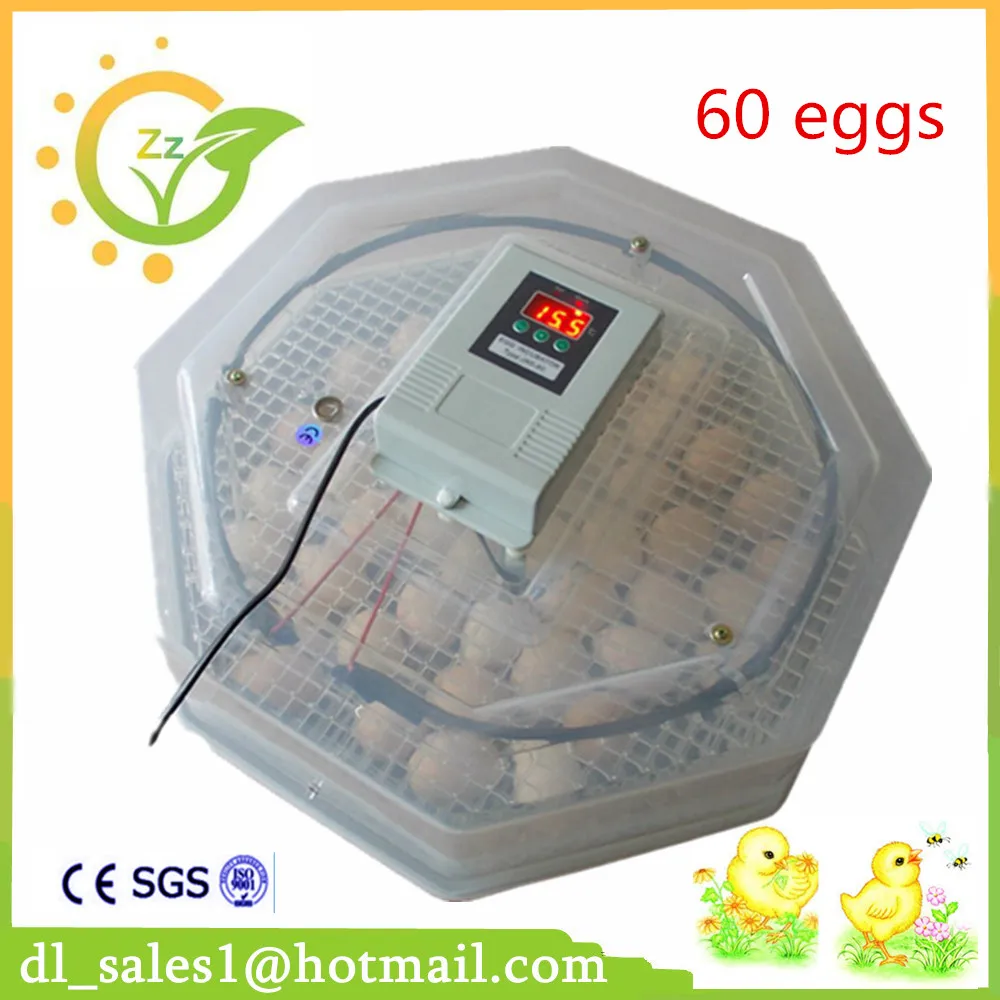 hatchery egg incubator egg home use small hatching chicken ...