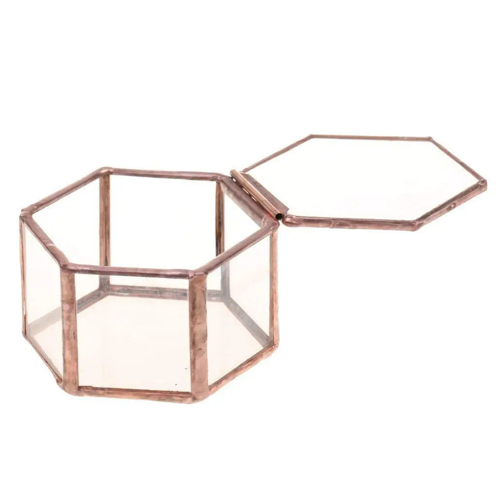 Geometric Glass Terrarium Box Jewelry Box Glass Succulent Plant Pot Deco Hexagon Shape