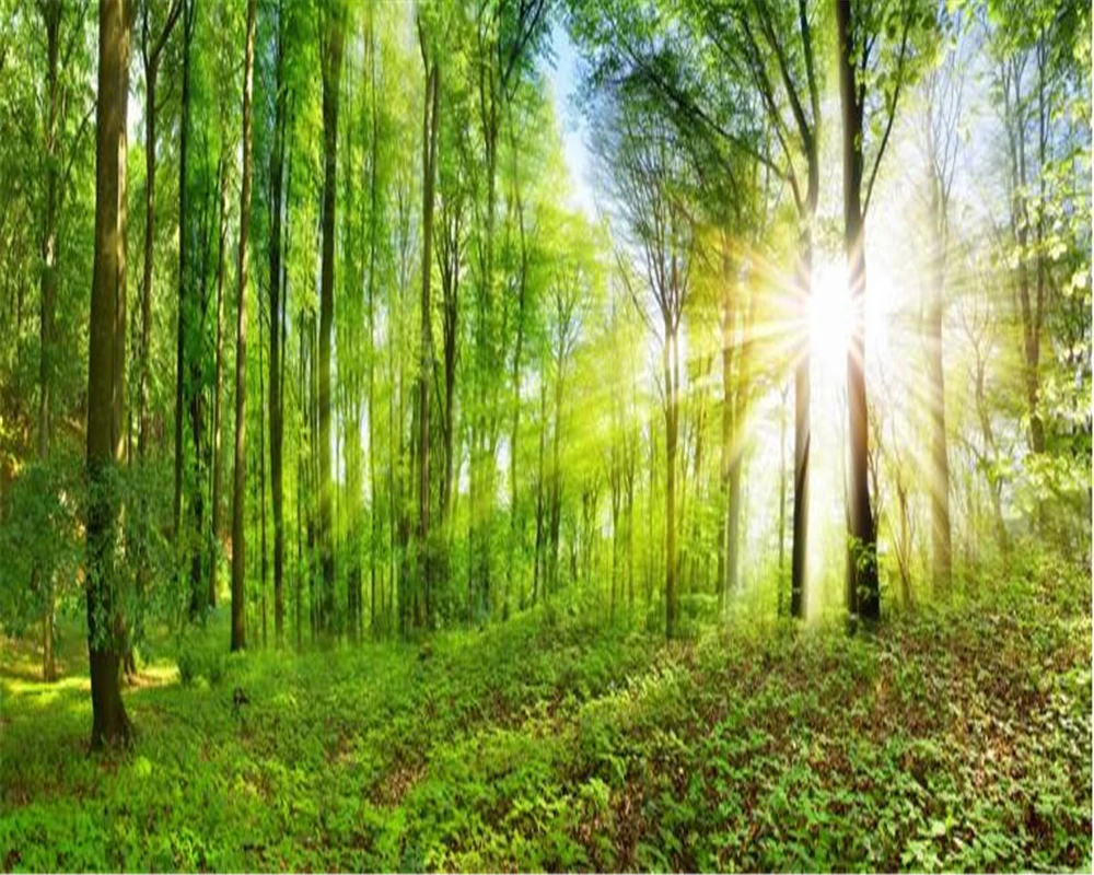 us 8 85 41 off beibehang super hd wallpaper full view fantasy forest hd natural landscape tv wall background papel de parede 3d wallpaper in super background images