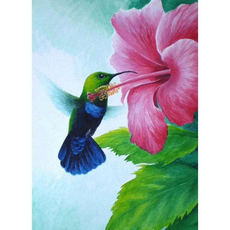 

5D Full Diamond Painting Hummingbird Embroidery Cross Stitch Kit Room Decor Rhinestone DIY Craft