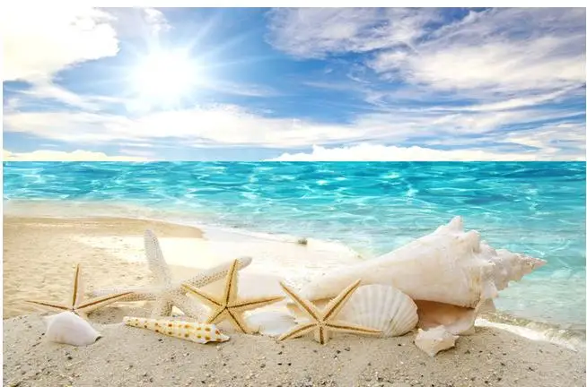 

Blue ocean beach beach shells starfish TV background wall