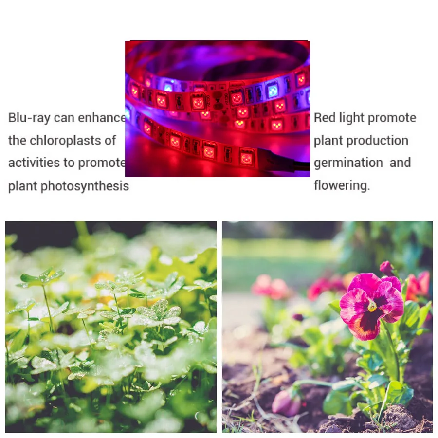 5 м светодиодный светильник для выращивания растений 12 В светодиодный фито-лампы Водонепроницаемая сельскохозяйственная светодиодная лента для роста растений с адаптером питания и диммером