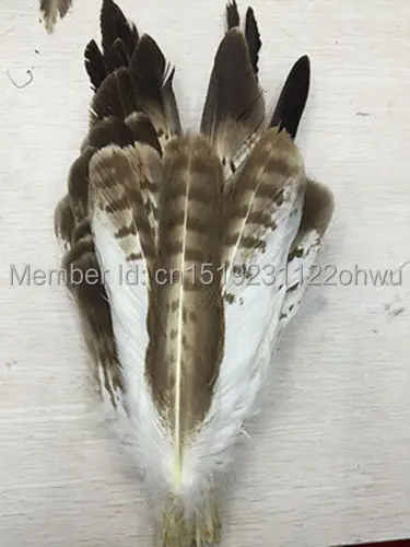 110