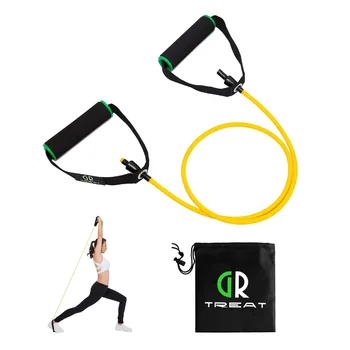 

Resistance Exercise Tube Resistance Band with Handles Exercise Cords for Resistance Training Physical Therapy Home Workouts