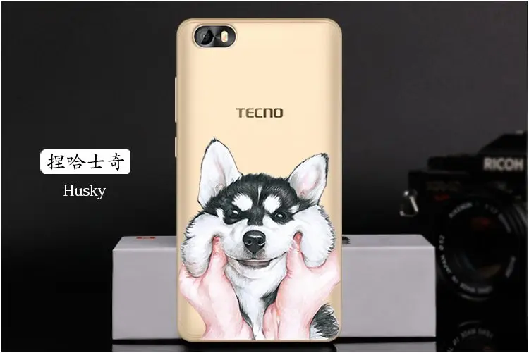 TECNO F2 (15)