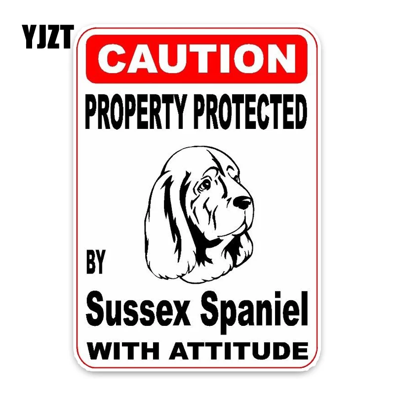 YJZT 10*14.2CM Property Protected By Sussex Spaniel Dog The Tail Of Car Reflective Sticker C1-4775 | Автомобили и мотоциклы