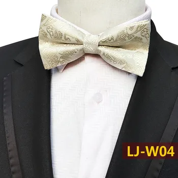 

Men Classic Woven Paisley Bowties Wholesale