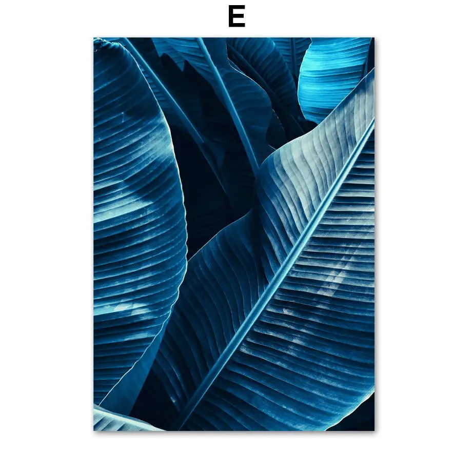 Синие растения суккуленты банановый лист настенные цветок холст живопись плакаты на скандинавскую тему и принты настенные картины для декора гостиной - Цвет: E