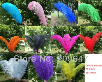 

HOT! Wholesale Beautiful!100PCS/LOT 28-30inch/70-75cm Natural OSTRICH FEATHERS for Wedding 11Colours Available! FREESHIPPING