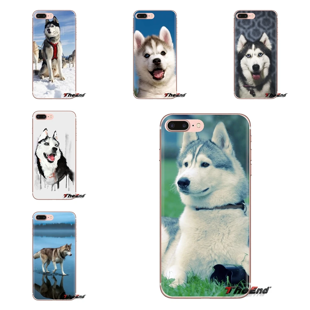 For Huawei Nova 2 3 2i 3i Y6 Y7 Y9 Prime Pro GR3 GR5 2017 2018 2019 Y5II Y6II Husky Desktop Wallpapers TPU Transparent Skin Case |
