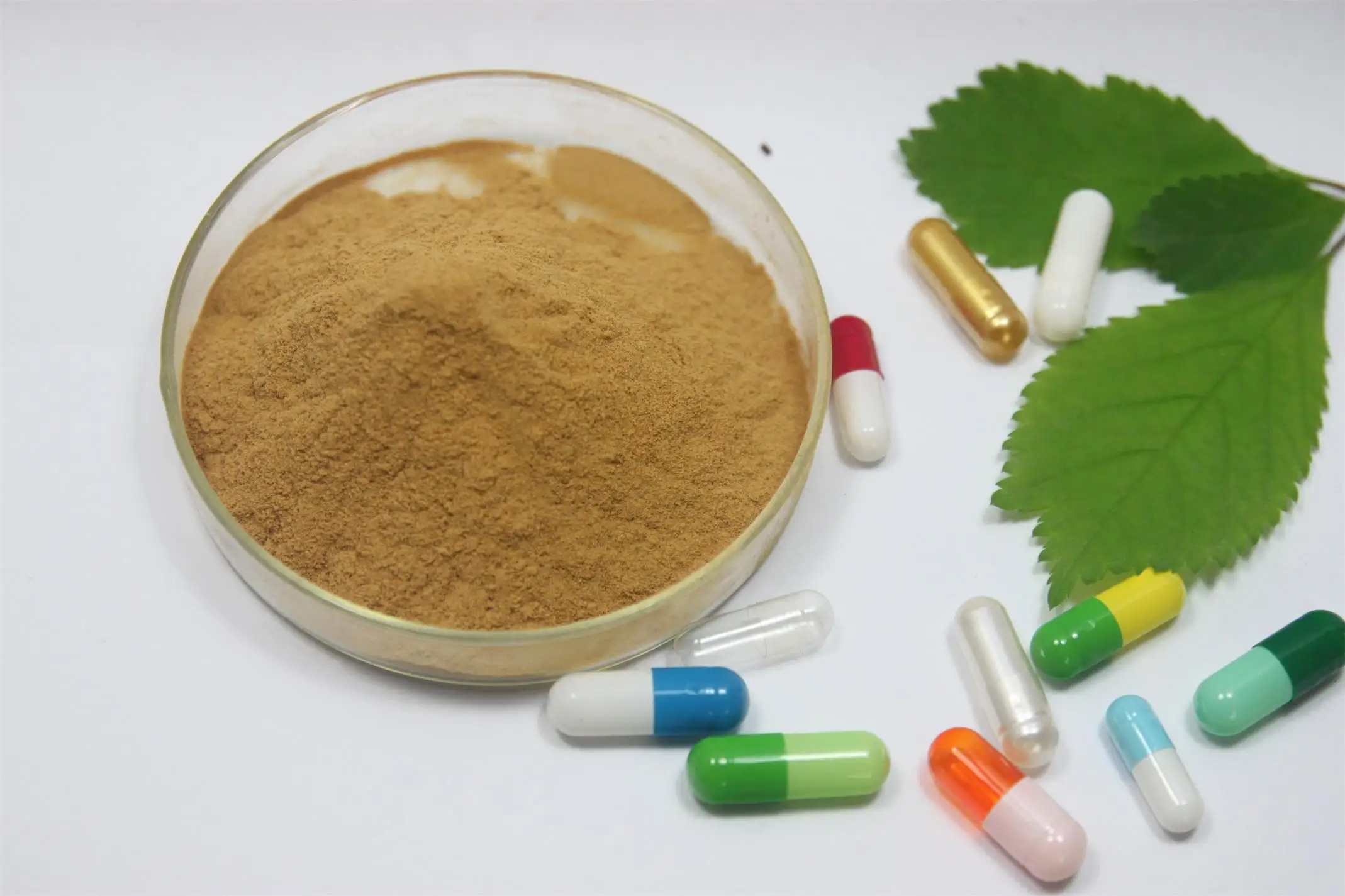 Pure Natural Senna leaf extract powder for weight lose Digestive Health Supplement Colon cleanse 500g free