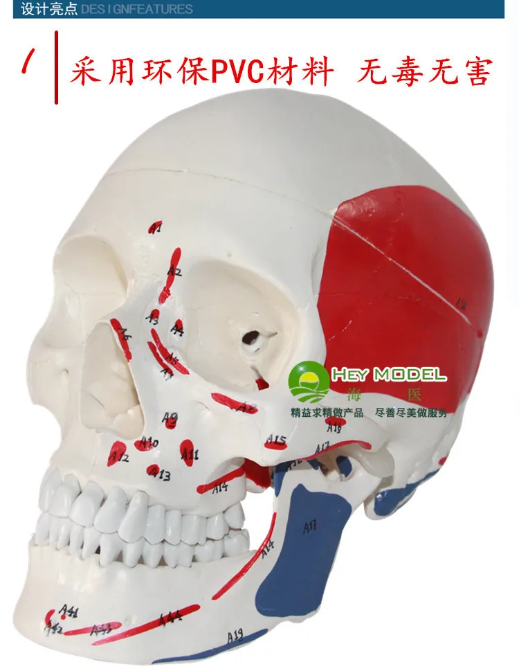 //img.alicdn.com/imgextra/i2/2529213246/TB2.Z3mnFXXXXaQXXXXXXXXXXXX_!!2529213246.jpg