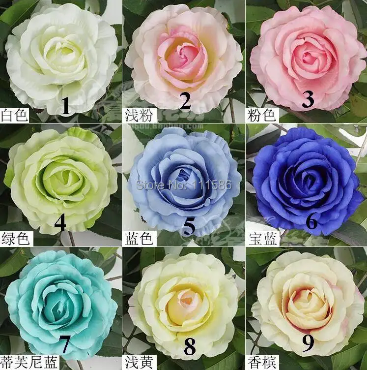 color -(0).jpg