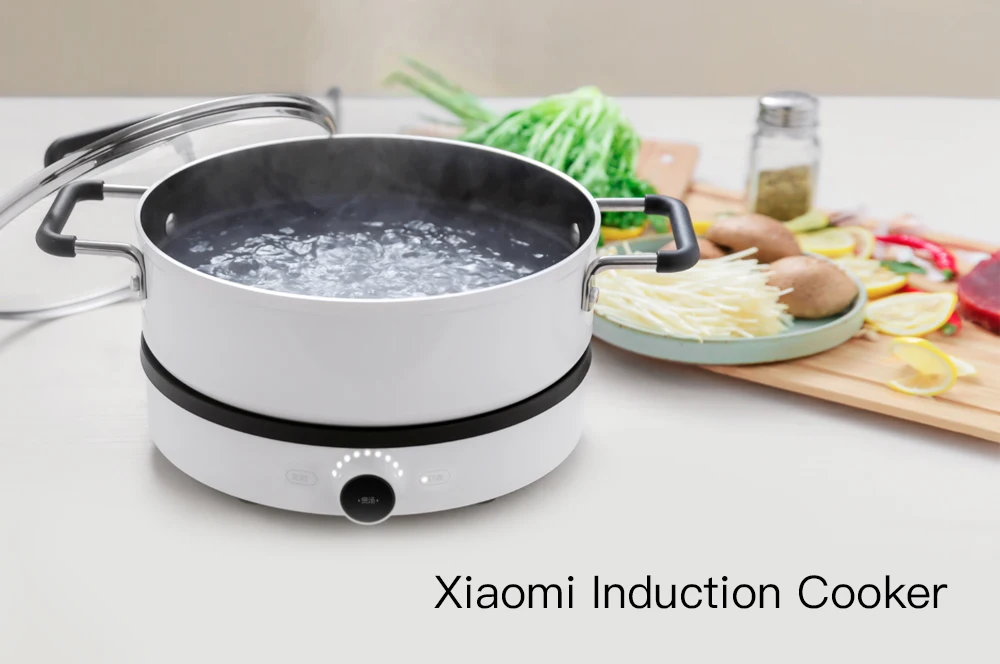 Xiaomi DCL01CM Creative Precise Control Induction Cooker