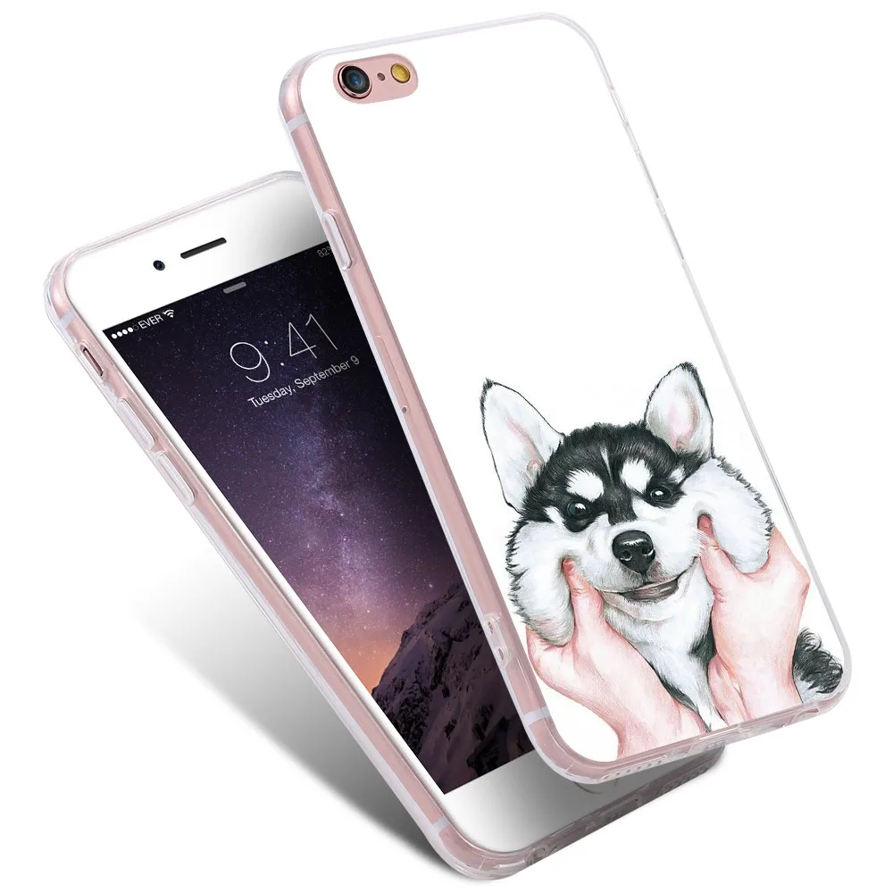 dog case (8)