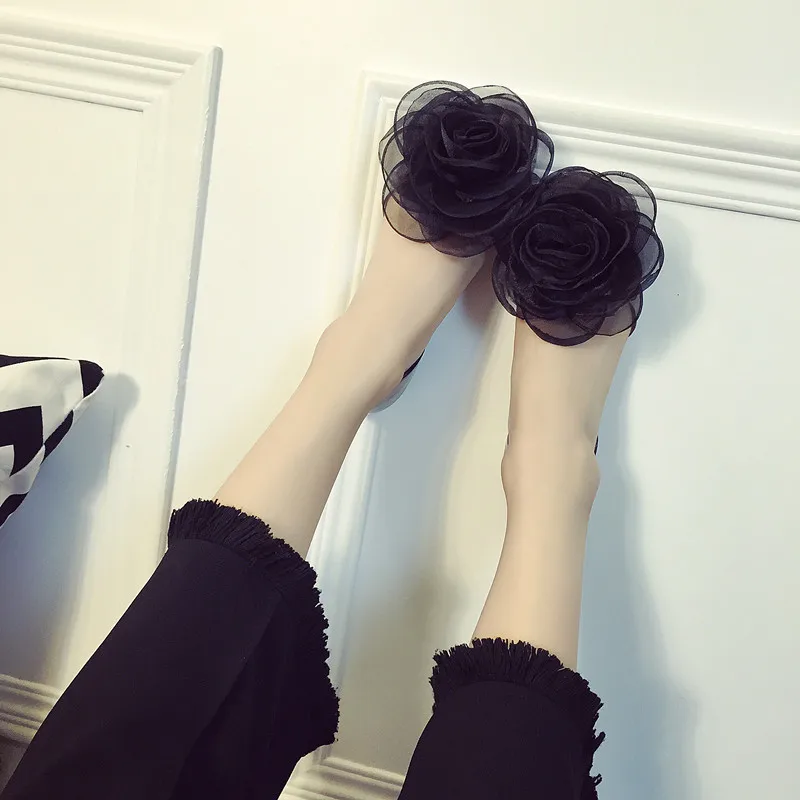 3161856743_708509211