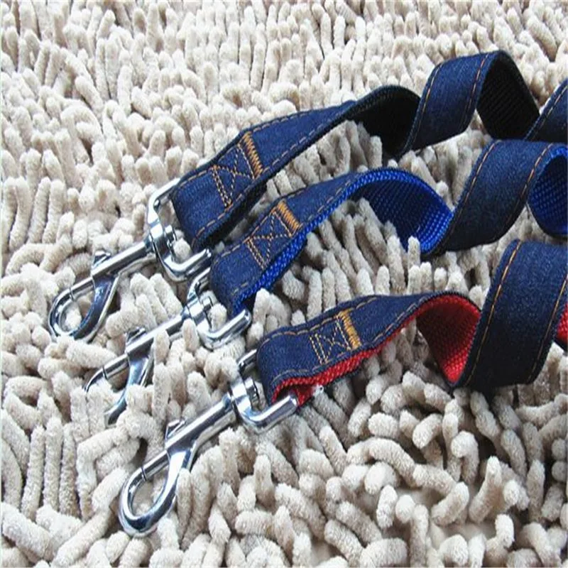 dog collar (13)