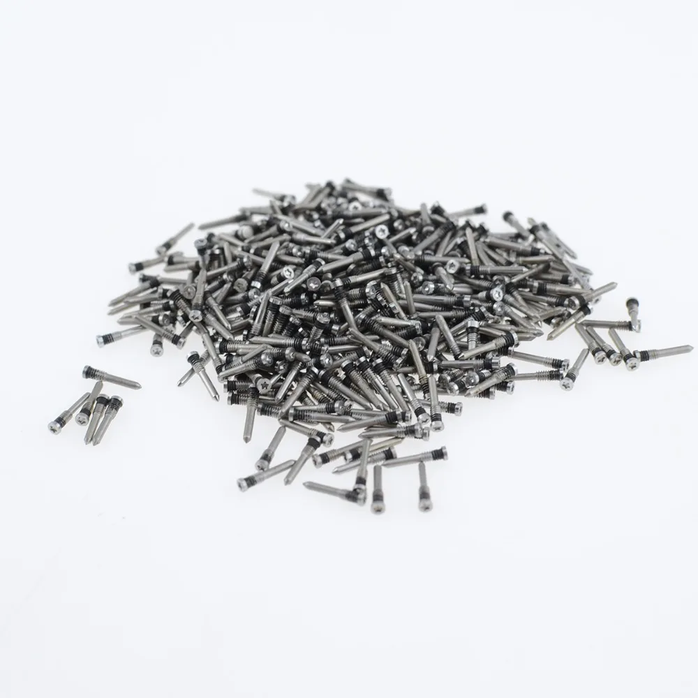 xs max screw silver (1)