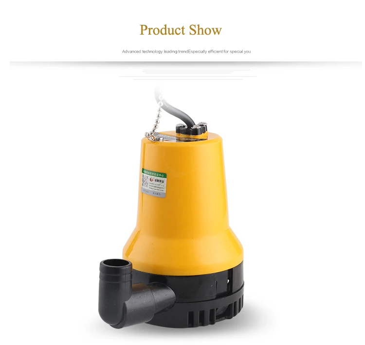 24 v dc water pump