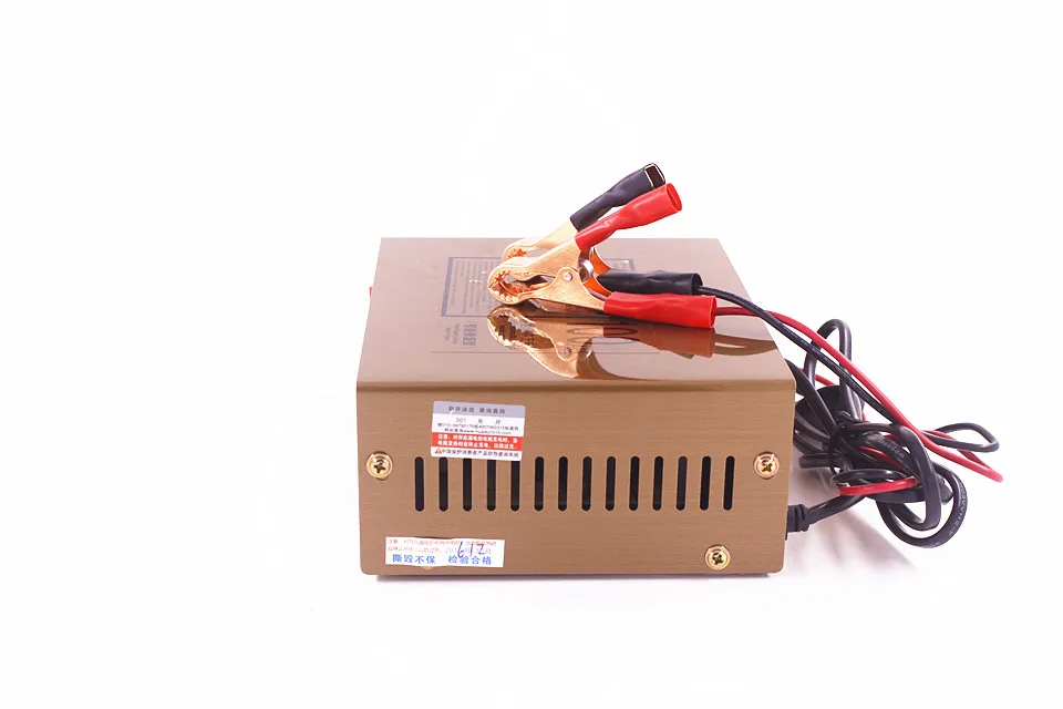 12V 24V Storage Battery Charger (7)