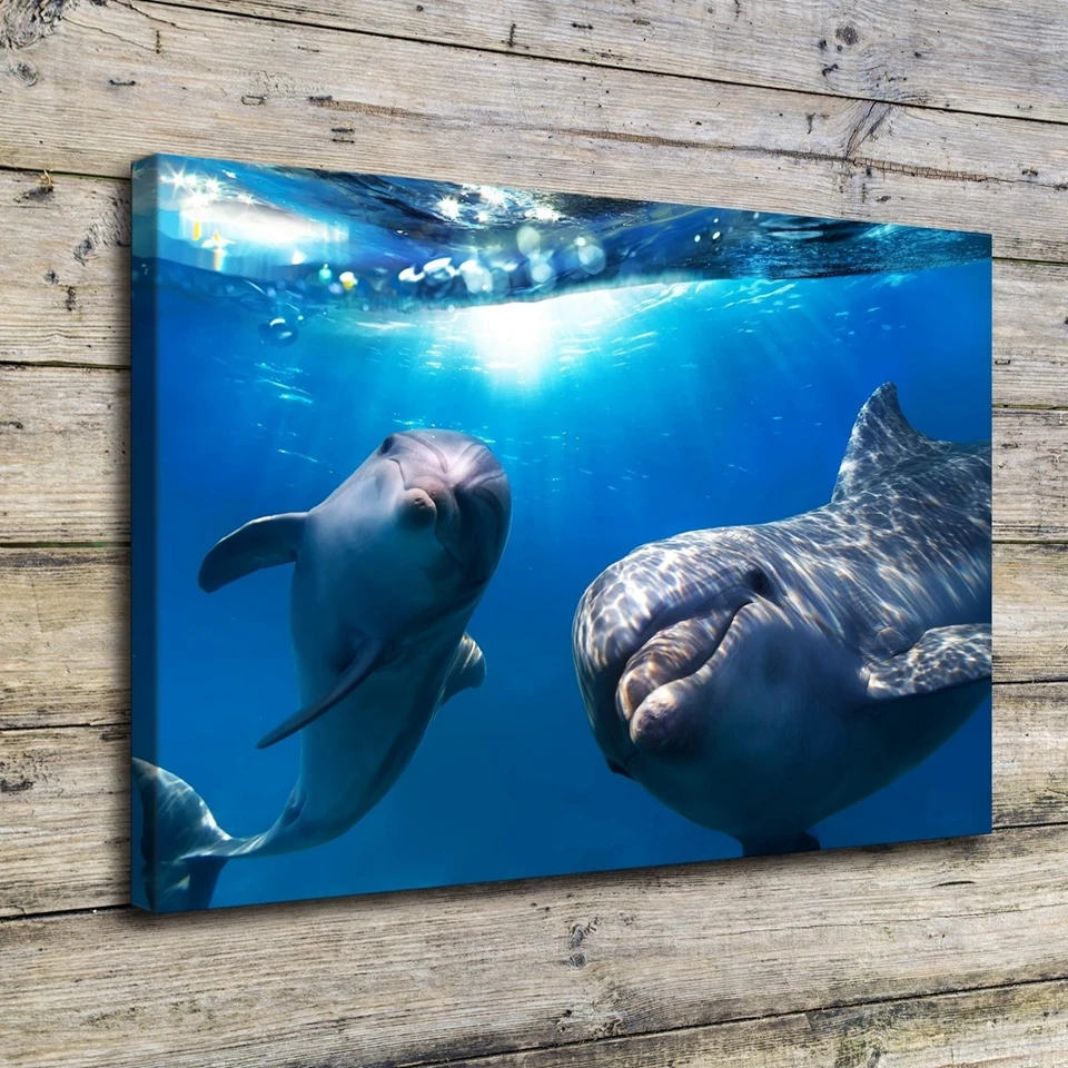 

For Living Room Wall Art Canvas Painting 1 Piece Underwater Dolphins Poster Prints Marine Animals Pictures Home Decoration Frame