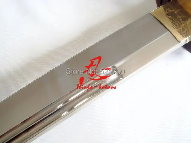 hs1504.JPG