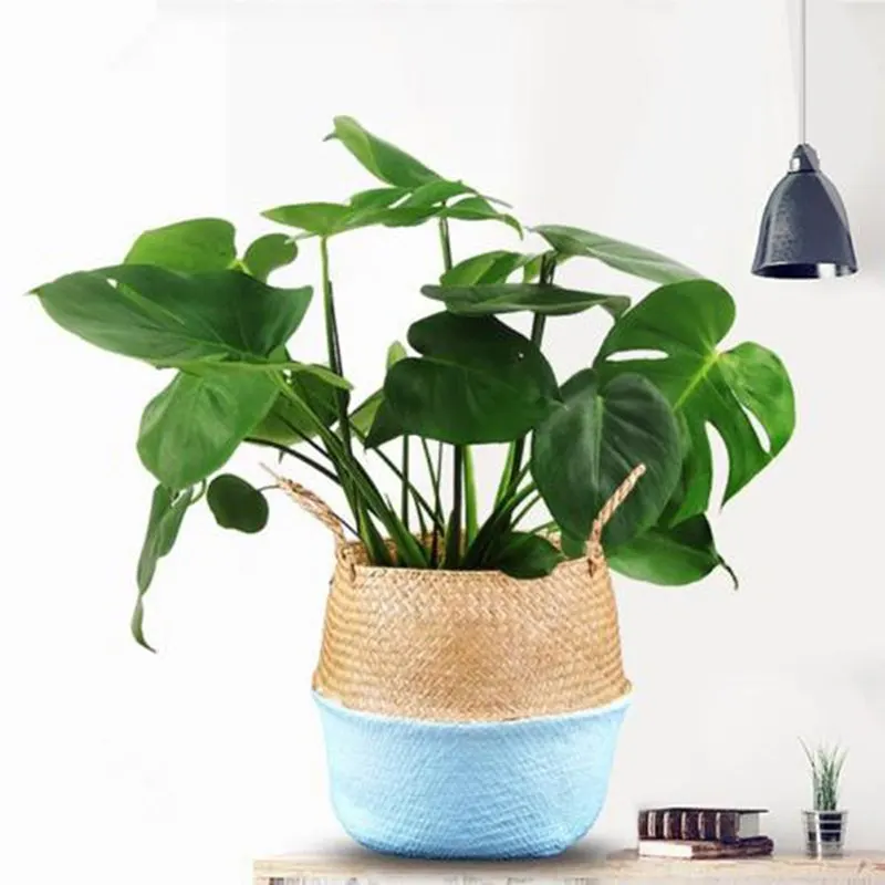 

Rattan Seagrass Belly Garden Flower Pot Planter Basket small Bamboo Storage Baskets Foldable Laundry Straw Patchwork Wicker