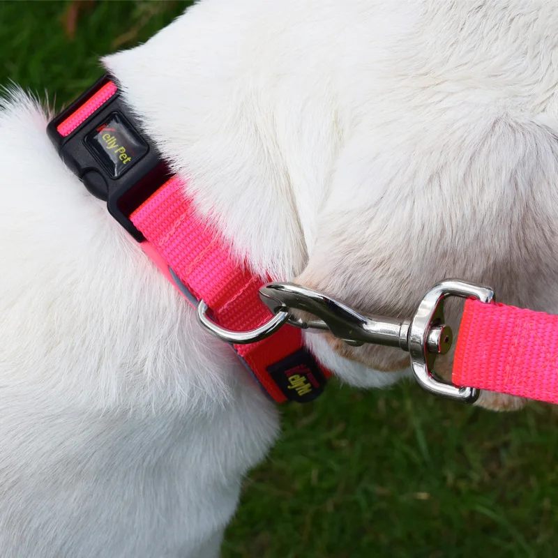 15 collar for dogs