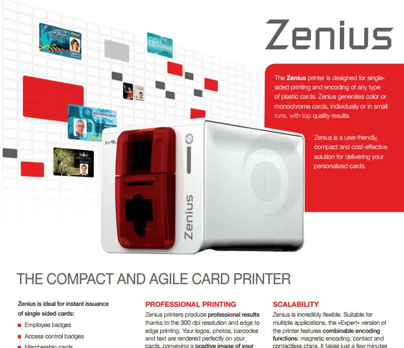 Zenius 06 _r1_c1