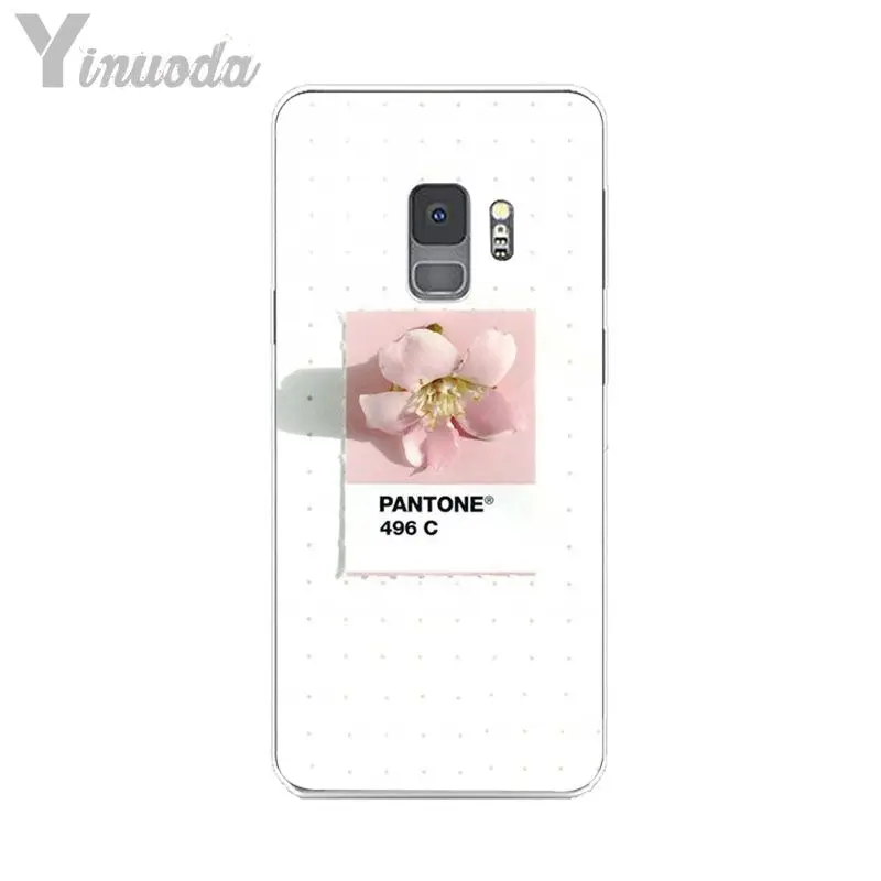 Pantone Candy Color Flower