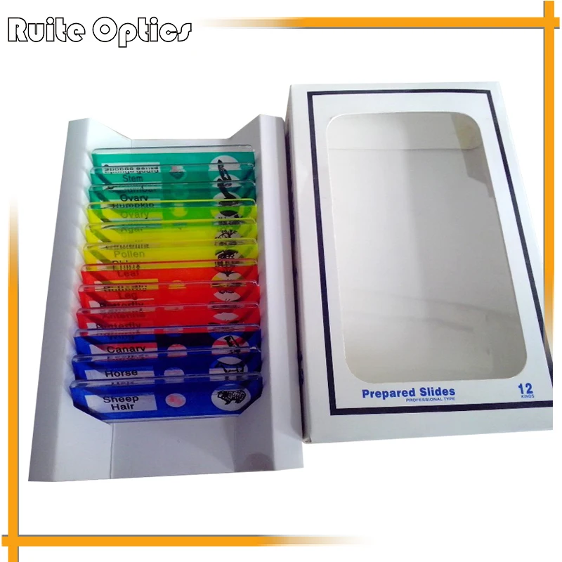 12 pcs Prepared Plastic Microscope Slides for Kids Student Used on Toy