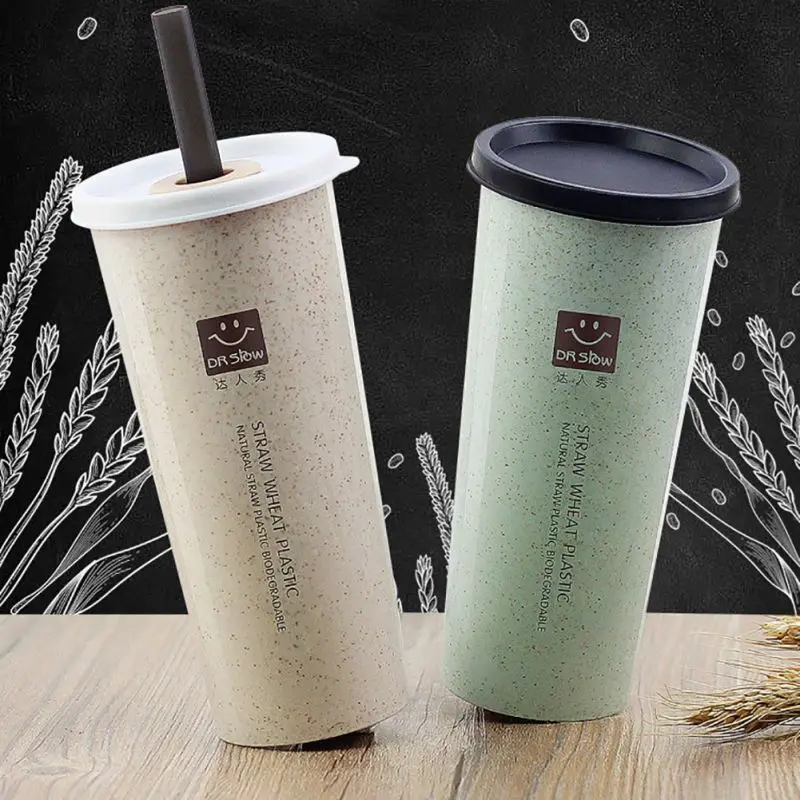 

2019 Fashion Nordic Style 450ml Straw Water Bottle With Double Cover Reusable Water Bottle Wheat Straw Sippy Straw Cup