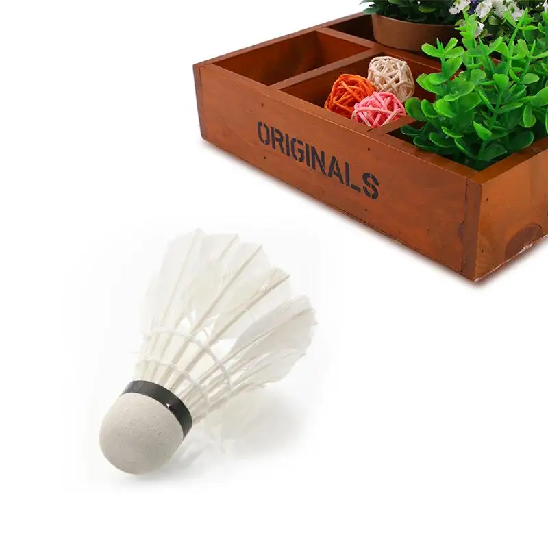 Buy 10 Outdoor Sport Shuttlecock A+60extra Goose