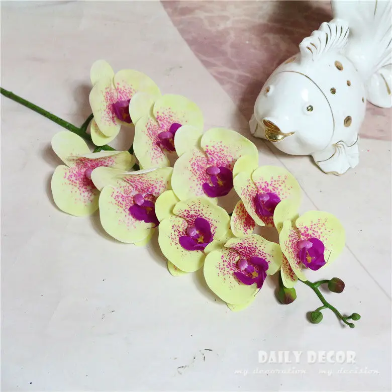 3447523786_356759457