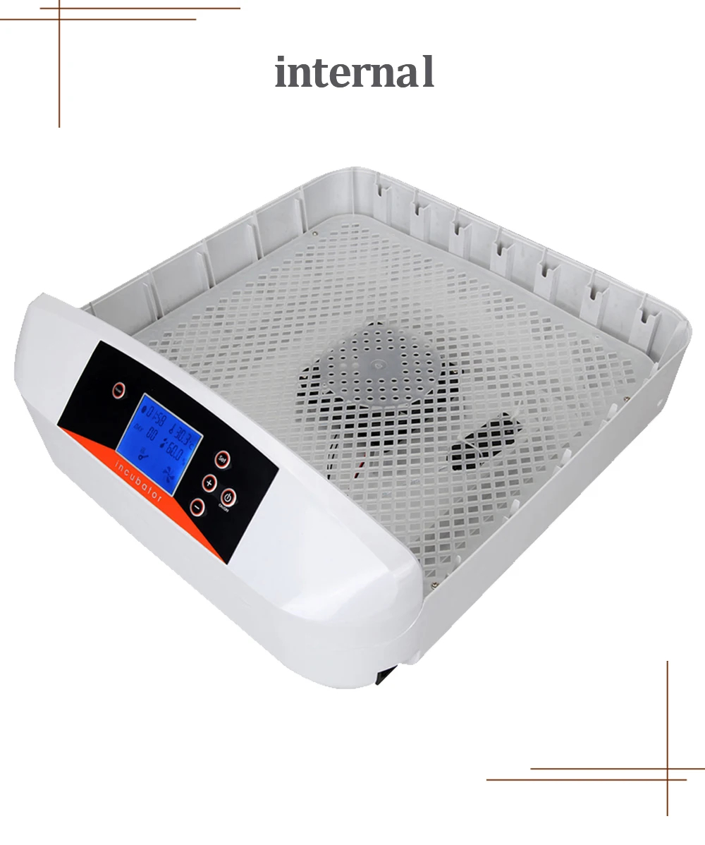 HTB13XbPdG6qK1RjSZFmq6x0PFXac