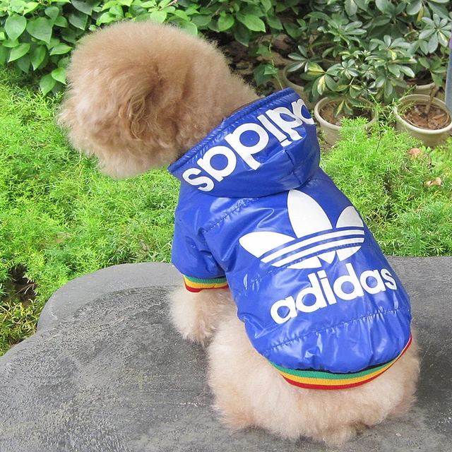 ropa para perros medianos adidas ropa para perros medianos adidas