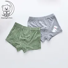 Трусы для мальчиков; комплект из 2 предметов; нижнее белье для малышей; детские трусики; детское нижнее белье с рисунком из мультфильма; хлопковые короткие штаны из модала для детей