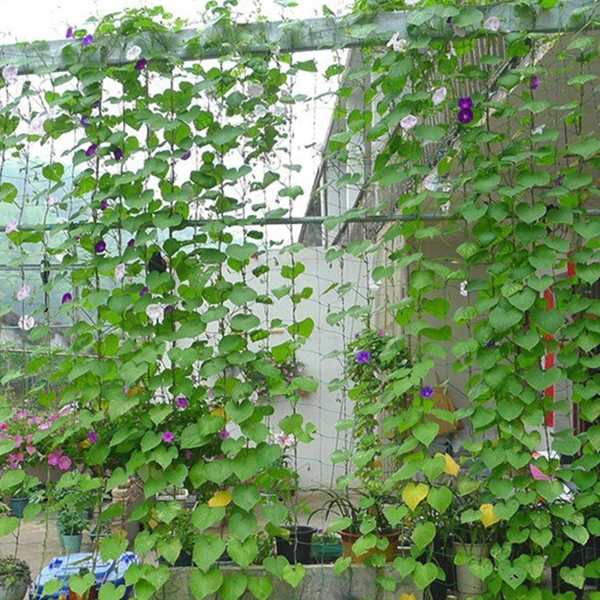 NOCM حديقة الأخضر النايلون تعريشة المعاوضة دعم تسلق مصنع شبكات تنمو السياج